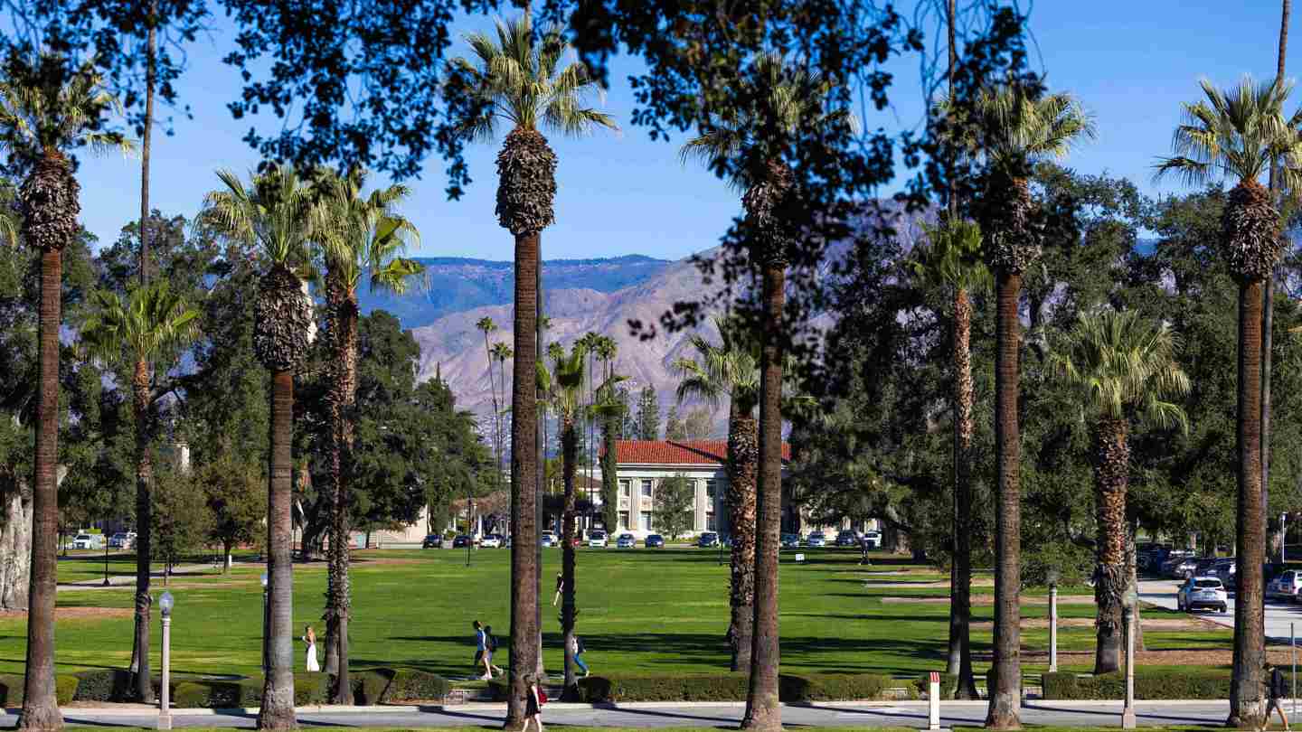 25-02-26 campus life quad and trees