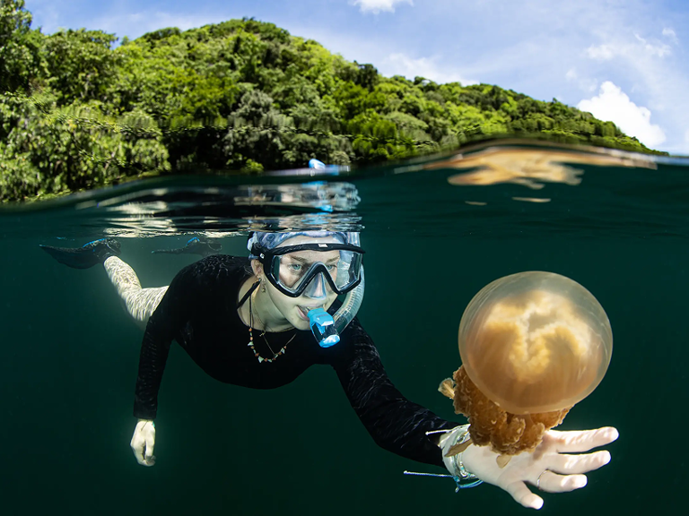 maddiejellyfishuofr23-2 1