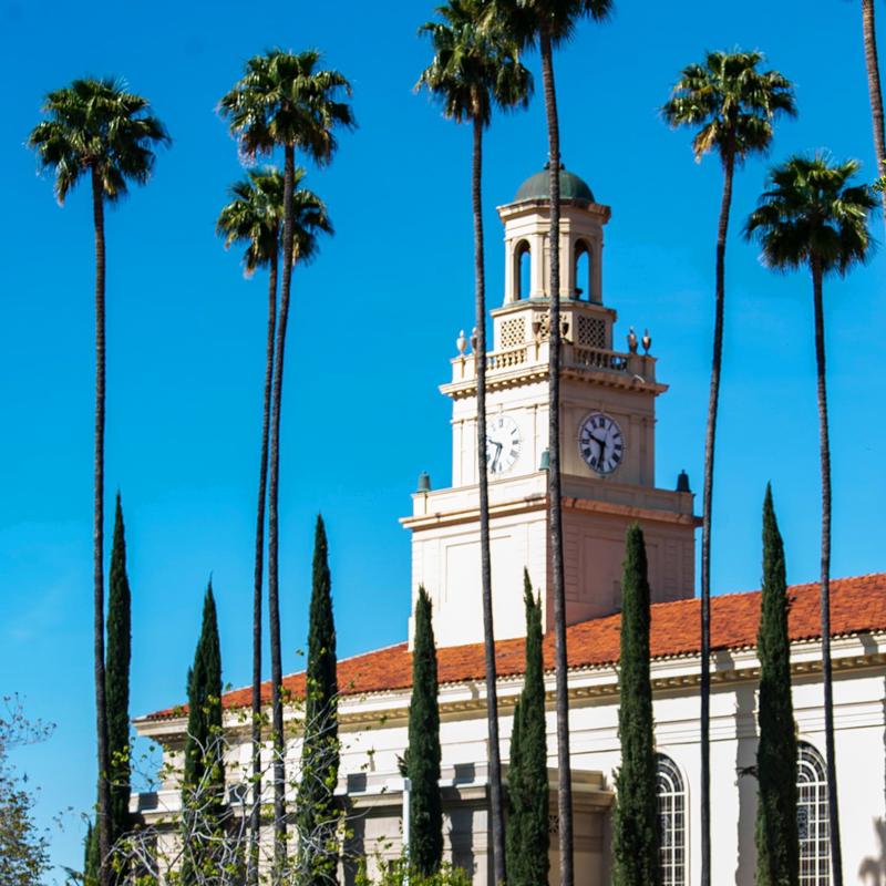 Mutiple media - View of Memorial Chapel and palm trees