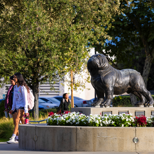 Image card - Bulldog mascot statue