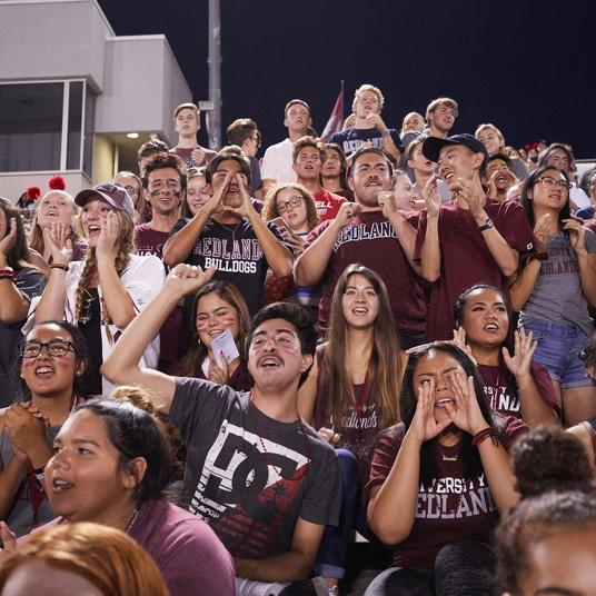 Image card - Bulldogs cheering at football game