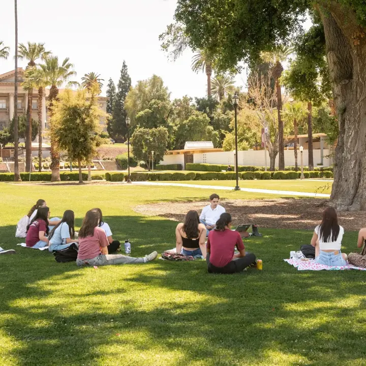 media-masthead---campus-quad-2025