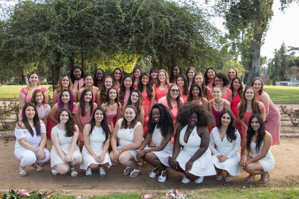 Alpha Xi Omicron