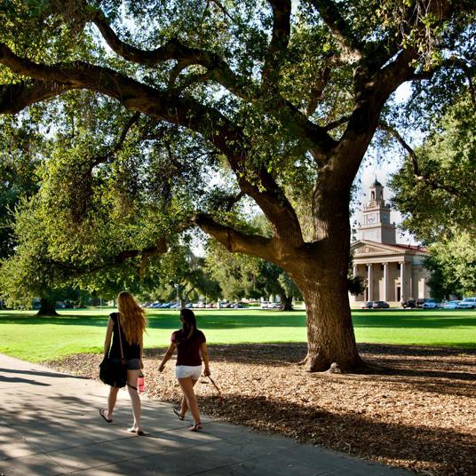 Image card - Students walking on campus