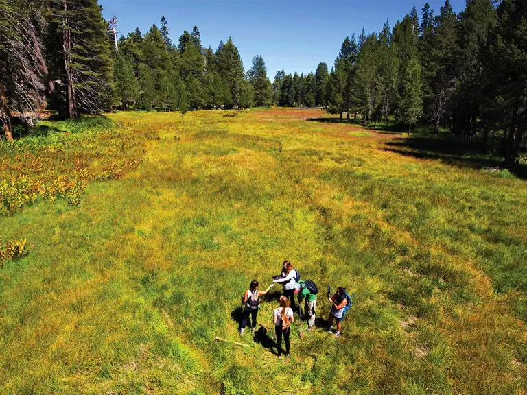 program-media-masthead.--environmental-studies-on-field-for-summer-science-research-1