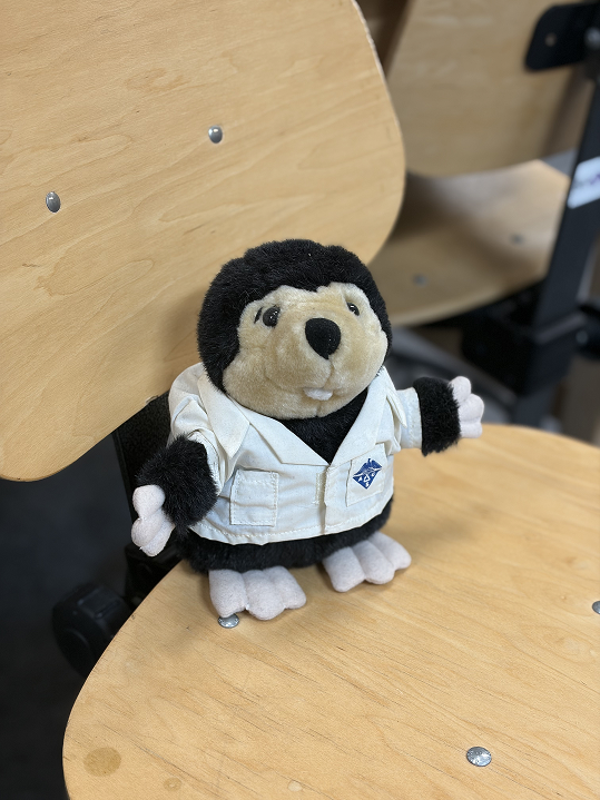 a stuffed animal on a chair