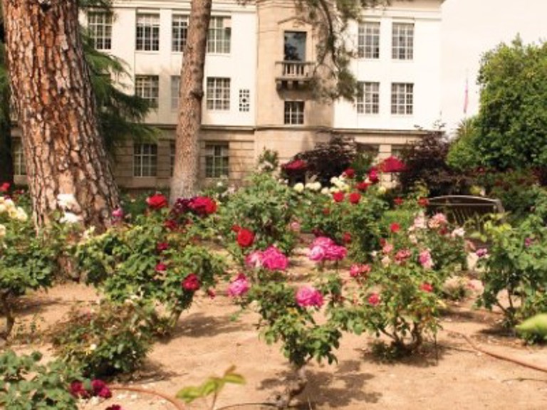 rose-garden-400x400
