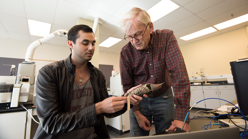 Matthew Hawkins working with Dr. Malcolm.