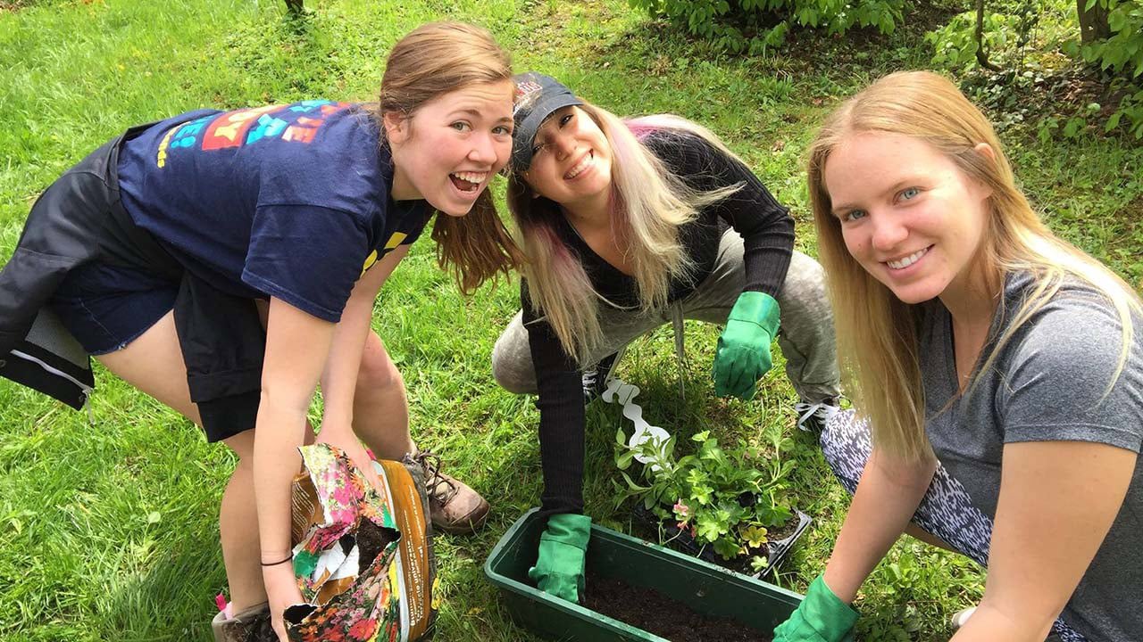 salzburg-service-gardening-1280x720