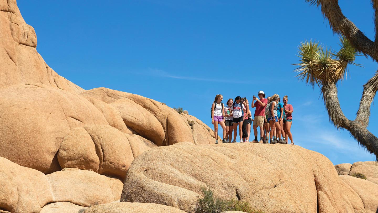 Media masthead - FYJ Joshua Tree trip