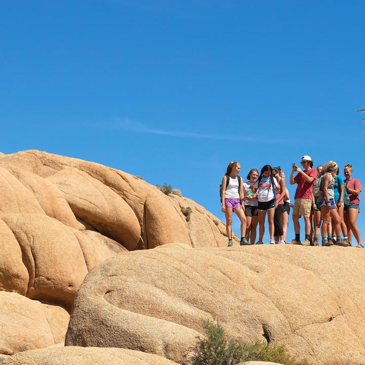 Media masthead - FYJ Joshua Tree trip